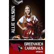TEAM LOGO Cheer Banner 