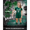 SOCCER POSTER - "LEGACY WALL" 