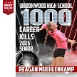 ALL STAR VOLLEYBALL POSTER 