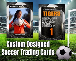 HONEYCOMB STYLE SOCCER CARD 